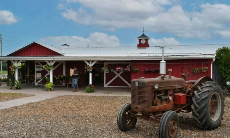 Reesors Farm Market